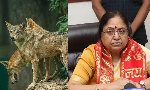 Uttar Pradesh Minister Baby Rani Maurya