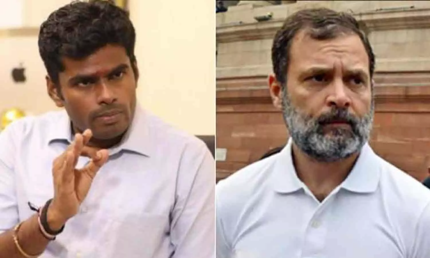 இந்தியை திணித்தது யார்..?-  ராகுலுக்கு அண்ணாமலை கேள்வி