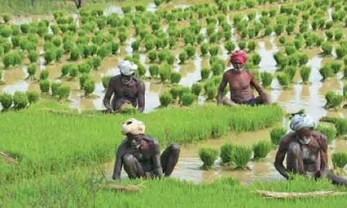 நாடு முழுவதும் ஆதார் போன்று விவசாயிகளுக்கு அடையாள அட்டை- மத்திய அரசு புதிய திட்டம்