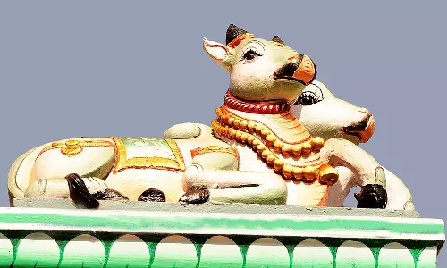 சிவராத்திரி கதை-மகா காந்தன், காந்தன்