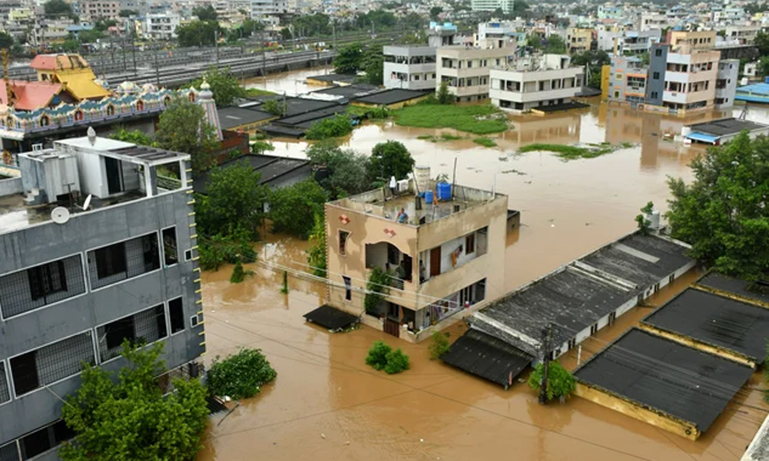 ஆந்திராவில் வெள்ளம் பாதித்த பகுதிகளில் 70 பேரை கடித்த பாம்புகள்,