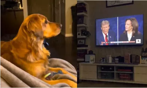 வளர்ப்பு நாய்களை சாப்பிடும் குடியேற்றவாசிகள்.. டிரம்ப் பேசுவதை டிவியில் பார்த்த நாய் செய்த செயல் - வீடியோ