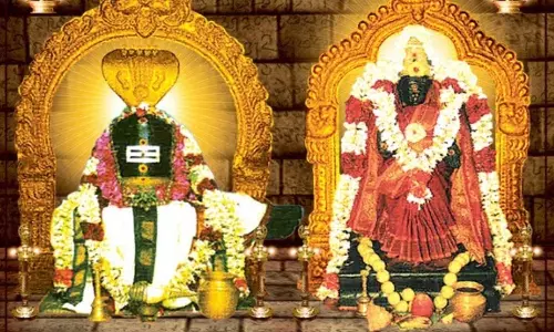 நாரைக்கு முக்தி அளித்த திருநாரையூர் சவுந்தரேசுவரர்!