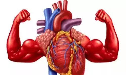 இதய ஆரோக்கியத்திற்கு உதவும் கால்களின் தசைகள்!