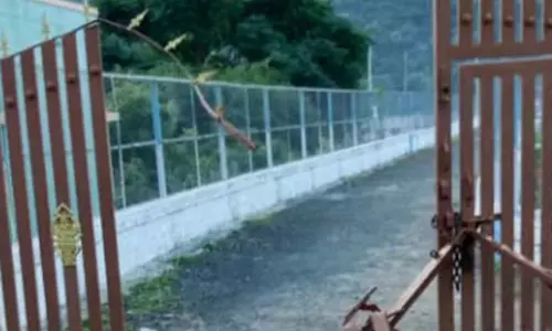 அணையின் நுழைவாயில் இரும்பு கதவை சேதப்படுத்திய காட்டுயானை