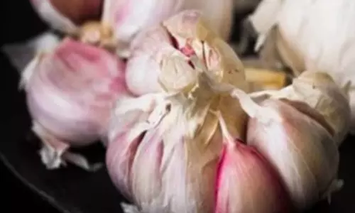 தடை செய்யப்பட்ட சீன பூண்டுகள்: தமிழகத்தில் தங்கு தடையின்றி விற்பனை உஷார்...