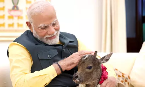 வீட்டிற்கு வந்த புதிய உறுப்பினர்... கொஞ்சி விளையாடும் பிரதமர் மோடி