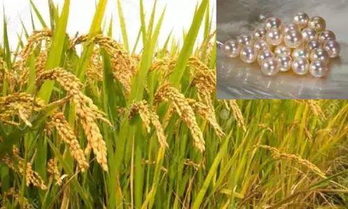 இது தான் தமிழ்நாட்டின் பெருமை!