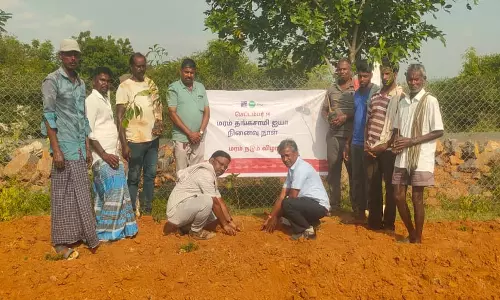 மரம் தங்கசாமி நினைவு நாள்- தமிழகம் முழுவதும் 1.67 லட்சம் மரக்கன்றுகள் நடவு