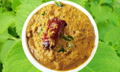 மருத்துவகுணம் நிறைந்த கற்பூரவல்லி இலை சட்னி