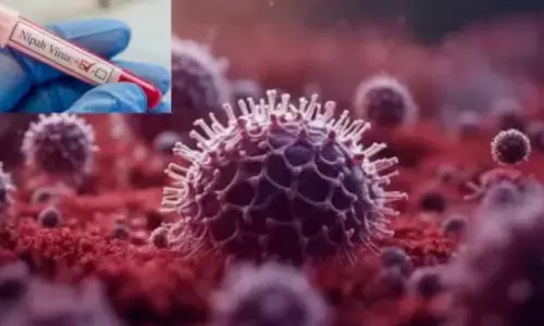 கேரளாவில் நிபா வைரசுக்கு வாலிபர் பலி: மலப்புரத்தில் 1,928 வீடுகளில் சுகாதாரத்துறையினர் கள ஆய்வு