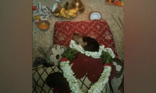 தெருநாய்கள் கடித்ததால் பலி: வளர்ப்பு நாய்க்கு இறுதிச்சடங்கு செய்த குடும்பத்தினர்