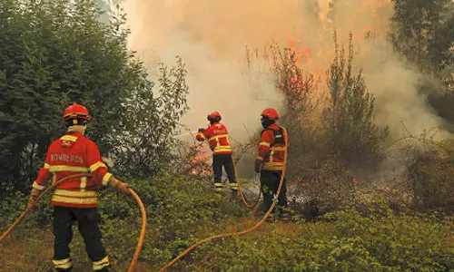 ராணுவ நடவடிக்கையில் பணய கைதிகள் 20 பேர் மீட்பு- பயங்கரவாதிகள் 4 பேர் பலி