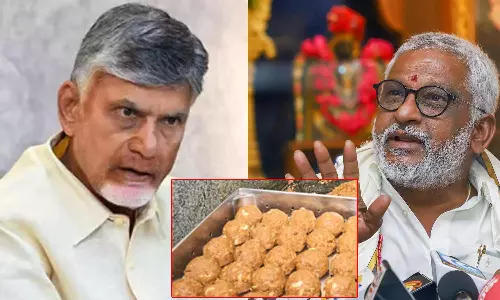 திருப்பதி லட்டில் விலங்கு கொழுப்பு- சந்திரபாபு நாயுடு குற்றச்சாட்டை மறுத்த ஒய்.எஸ்.ஆர். காங்கிரஸ்