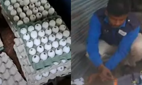 அரசு முட்டை விற்பனை- ஓட்டலுக்கு சீல்