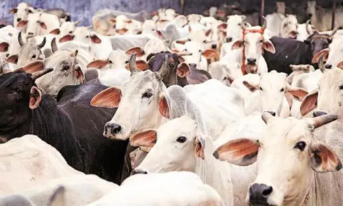 அப்படி சொல்லாதீர்கள்..!