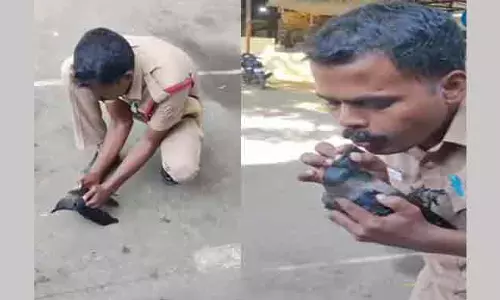 மின்சாரம் தாக்கி மயங்கிய காகத்திற்கு மறுஉயிர் கொடுத்த தீயணைப்பு வீரர்