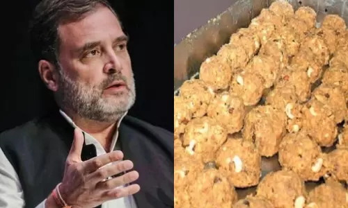 திருப்பதி லட்டு விவகாரம்.. அதிகாரிகள் மதத் தலங்களின் புனிதத்தை பாதுகாக்க வேண்டும் - ராகுல் காந்தி