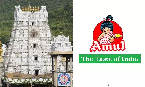 திருப்பதி கோவிலுக்கு ஒருபோதும் நெய் சப்ளை செய்யவில்லை- அமுல் நிறுவனம் விளக்கம்