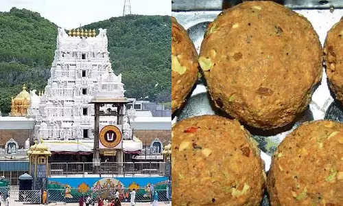 லட்டுகள் புனிதத்தன்மையை மீட்டெடுத்து விட்டோம்- திருப்பதி தேவஸ்தானம் அறிவிப்பு