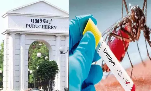 புதுச்சேரியில் 51 பேருக்கு டெங்கு பாதிப்பு