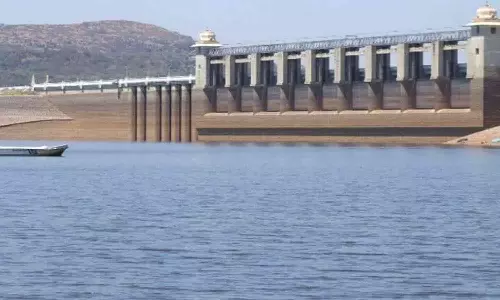 சுட்டெரிக்கும் வெயிலால் சரியும் அமராவதி அணை நீர்மட்டம்