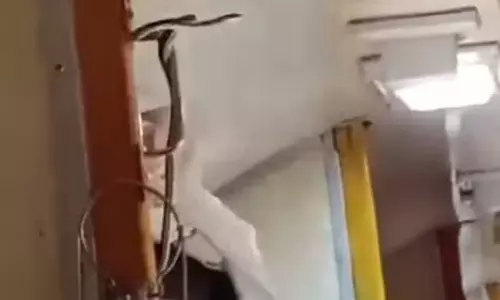 எக்ஸ்பிரஸ் ரெயிலில் பாம்பு புகுந்ததால் பரபரப்பு- வீடியோ வைரல்