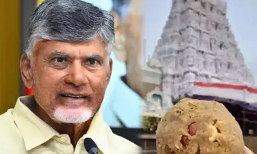 திருப்பதி லட்டு சர்ச்சை....சிறப்பு புலனாய்வு குழு விசாரணை-சந்திரபாபு நாயுடு