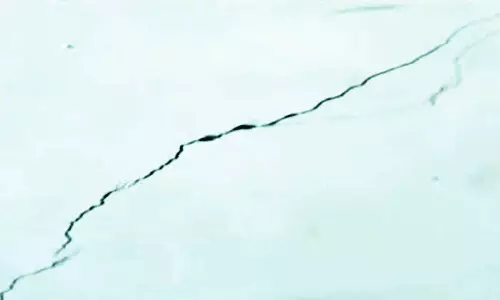 நெல்லை, தென்காசி மாவட்டங்களில் நில அதிர்வுக்கு காரணம் என்ன? பொதுமக்கள் பீதி