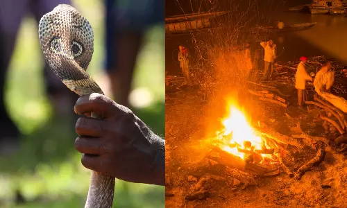 பாம்புக் கடியால் உயிரிழந்த இளைஞன்.. சடலத்துடன் கடித்த பாம்பை உயிரோடு எரித்த கிராம மக்கள்