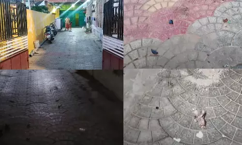 அ.தி.மு.க. நகர செயலாளர் வீடு மீது பெட்ரோல் குண்டு வீச்சு