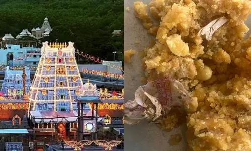 திருப்பதி லட்டில் குட்கா புகையிலை.. வீடியோ எடுத்து வெளியிட்ட பக்தர்.. அடுத்த சர்ச்சை