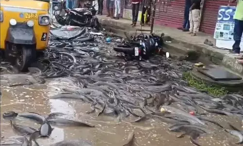 லாரி கவிழ்ந்ததால் சாலையில் துள்ளி குதித்த மீன்கள்: கடும் போக்குவரத்து நெரிசல்