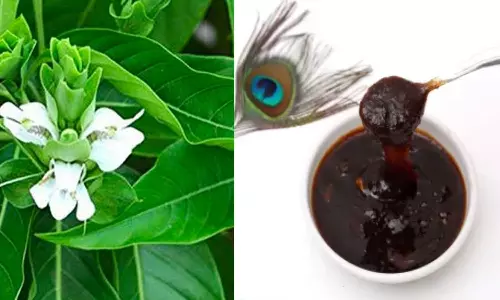 சளி பிரச்சனையா ஆடாதொடா சிரப் ட்ரை பண்ணுங்க....