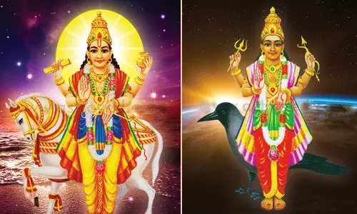 நவக்கிரக தோஷ பரிகாரம்-சுக்கிரபகவான் மற்றும் சனிபகவான்