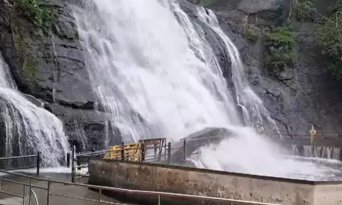 நேற்று கொட்டித் தீர்த்த கனமழை: குற்றாலம் அருவிகளில் குளிக்க தடை