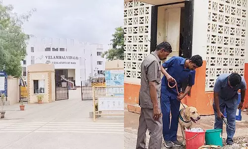 மதுரையில் தனியார் பள்ளிகளுக்கு வெடிகுண்டு மிரட்டல்- போலீசார் அதிரடி சோதனை