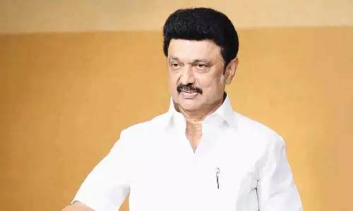 46 புதிய தொழிற்சாலைகள் திறப்பு- தமிழக அரசு பெருமிதம்