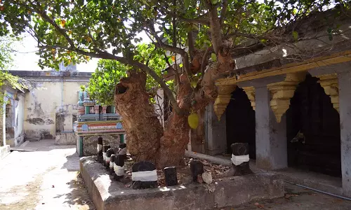 மரண கண்டம் நீக்கும் திருநீலக்குடி