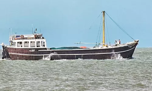 தூத்துக்குடியில் இருந்து மாலத்தீவுக்கு சரக்கு போக்குவரத்து தொடங்கியது