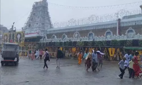 திருப்பதி பிரம்மோற்சவம்: சிம்ம வாகனத்தில் ஏழுமலையான் பவனி