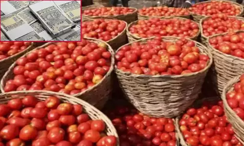 கிலோ ரூ.100-ஐ தாண்டியதால் விபரீதம்- தக்காளி வியாபாரியை 250 கி.மீ. விரட்டி சென்று ரூ.5 லட்சம் வழிப்பறி