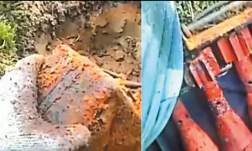 தோட்டத்தில் கிடைத்தது உலகப்போர் குண்டுகளா?