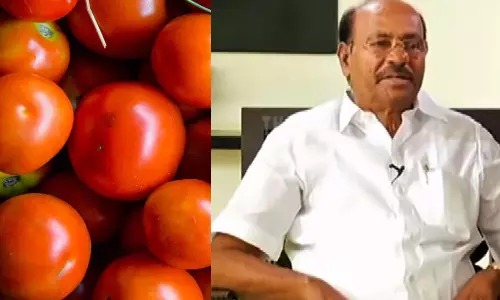 விலை உயர்வு எதிரொலி: தக்காளியை அரசே கொள்முதல் செய்து விற்க வேண்டும்- ராமதாஸ் வலியுறுத்தல்