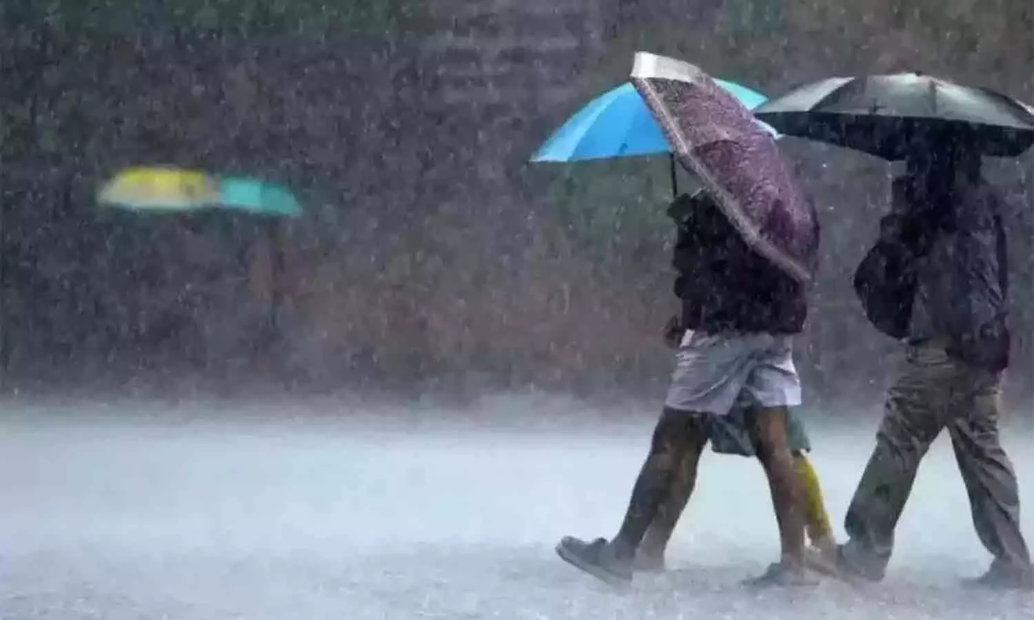 நெல்லை, தென்காசி மாவட்டங்களில் இடி-மின்னலுடன் கனமழை நெல்லை, தென்காசி மாவட்டங்களில் இடி-மின்னலுடன் கனமழை