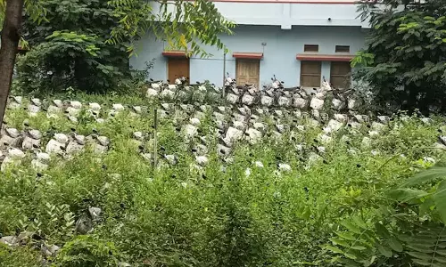 ஏழை மாணவிகளுக்காக வாங்கிய 1,500 ஸ்கூட்டர்கள்: வெயிலில் நின்று வீணாகும் அவலம்