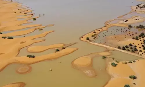 வெள்ளக்காடாக காட்சியளிக்கும் சஹாரா பாலைவனம்