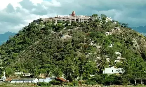 வன்னிகாசூரன் வதம் செய்யும் நிகழ்ச்சி- பழனி முருகன் கோவிலில் இன்று நடையடைப்பு