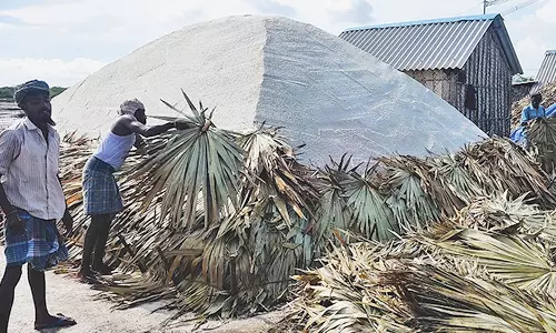 வேதாரண்யம் பகுதியில் தொடர் மழையால் உப்பு உற்பத்தி அடியோடு நிறுத்தம்