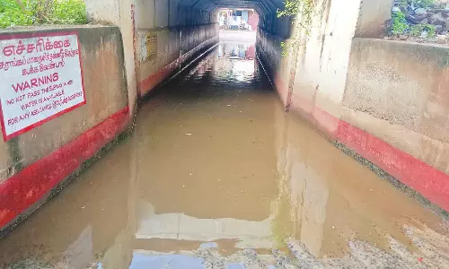 தஞ்சை மாவட்டத்தில் பல்வேறு இடங்களில் பரவலாக மழை